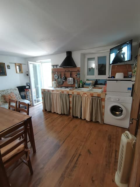 Beautiful Historical apartment with lake view