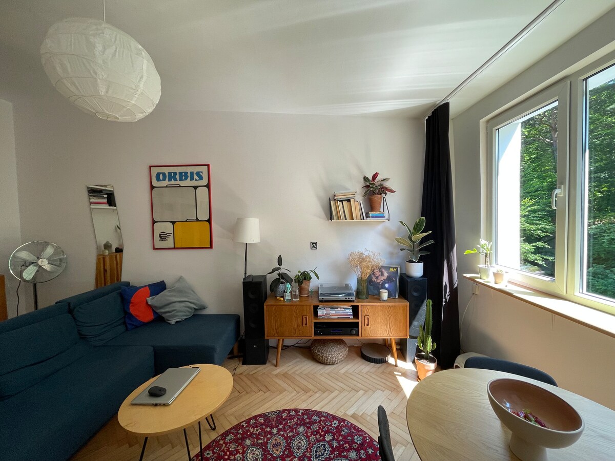 A living area is presented with a blue couch adorned with colorful pillows beside a wooden media console. A round table sits prominently in the space. Natural light enters through a large window, illuminating a mix of plants and decor, while a patterned rug enhances the floor.