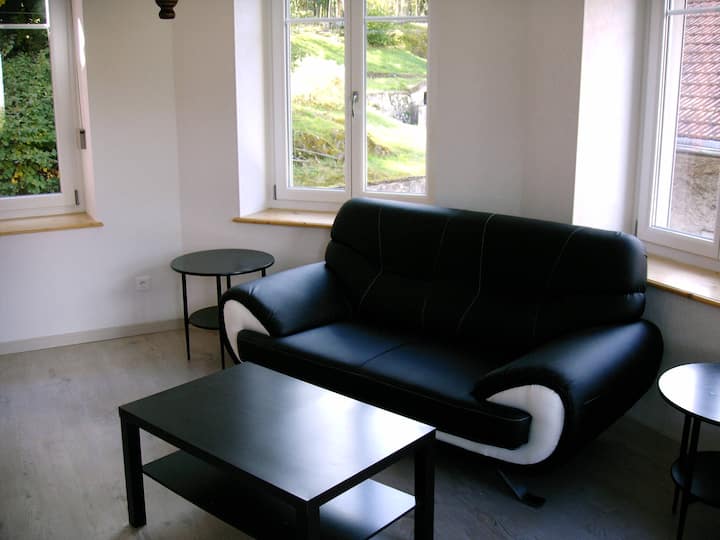 მისაღები ოთახი; არის მეორე დივანი 