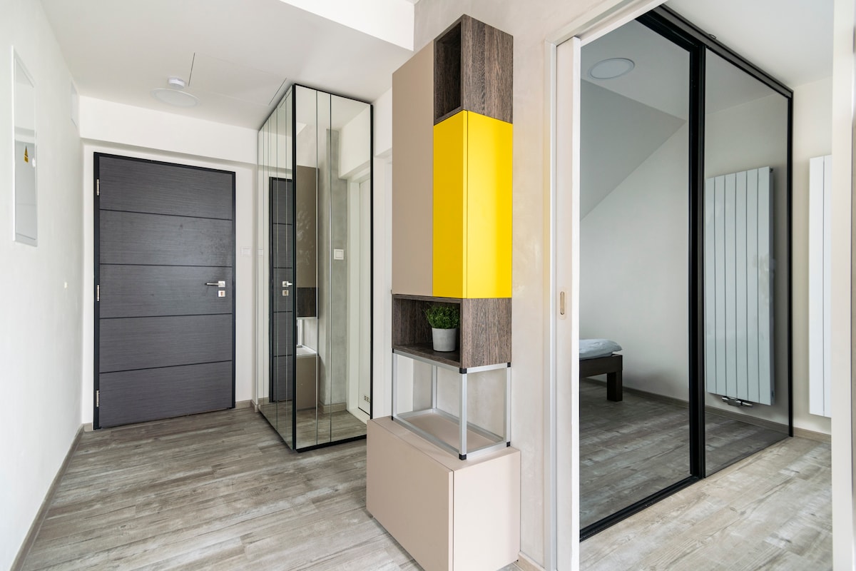 An inviting entryway features a sleek black door and a mirrored wardrobe, reflecting the contemporary style. A colorful storage unit combines yellow and neutral tones, while warm wooden flooring enhances the bright ambiance. Natural light filters in, creating a welcoming atmosphere.