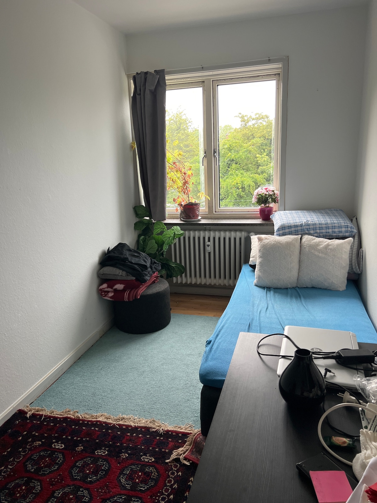 A simple room features light blue walls and a window overlooking greenery. A compact seating area is provided with a blue daybed adorned with cushions. A small table is positioned nearby, accompanied by a plush area rug and a plant adding a touch of nature.