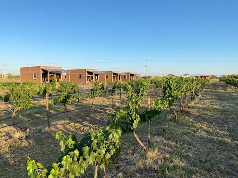 Hote Boutique - # 4 (4 Tintos)