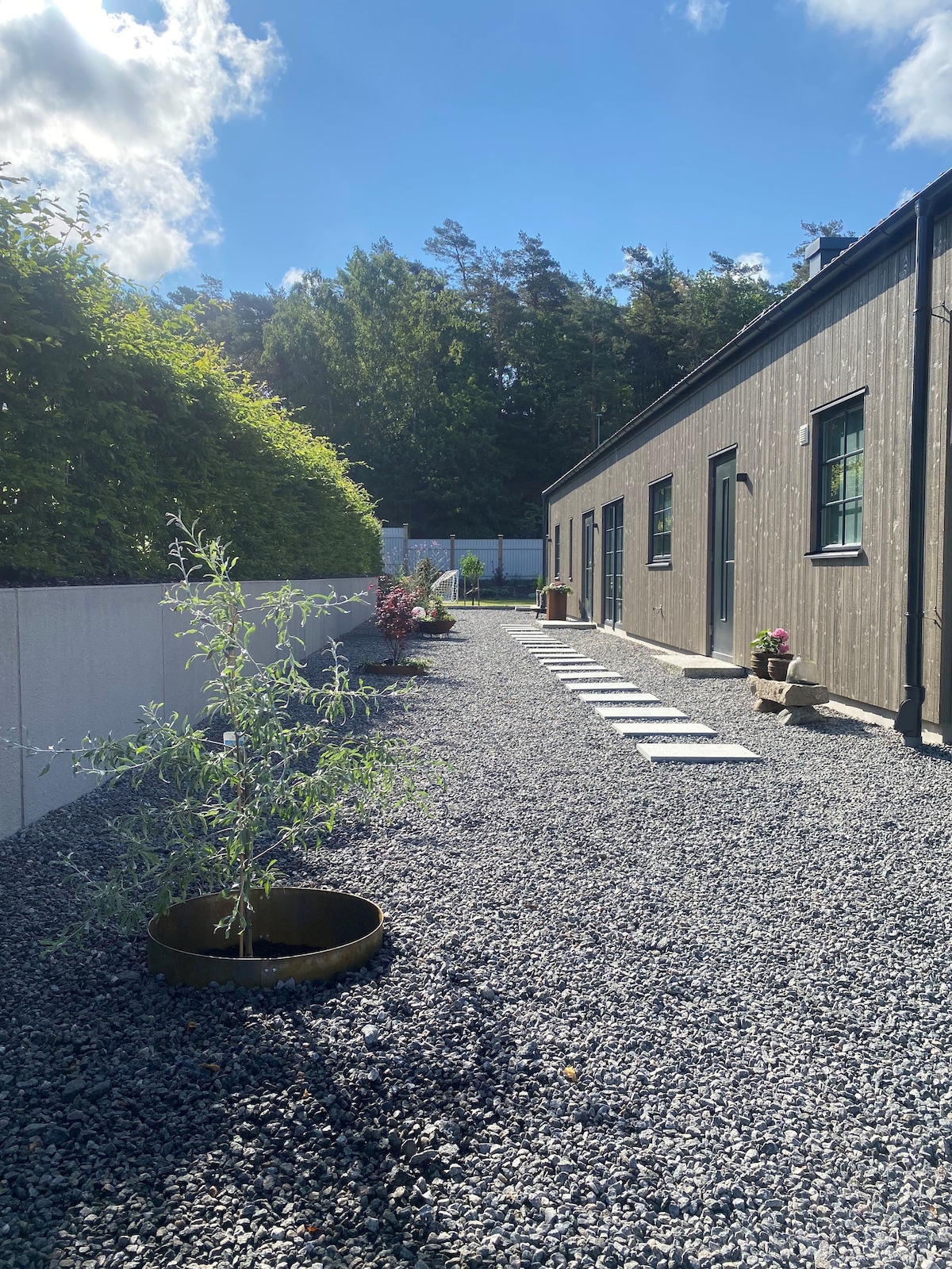 A gravel pathway leads to a modern villa, flanked by neatly trimmed hedges and greenery. Flower pots are placed along the pathway, adding subtle touches of color. The building features multiple windows that reflect natural light, enhancing the overall inviting atmosphere of the space.