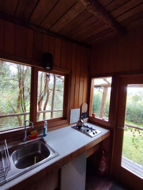 Popular Airbnb listing: Cabin for two in the Puelo Siempreverde forest in Cochamó