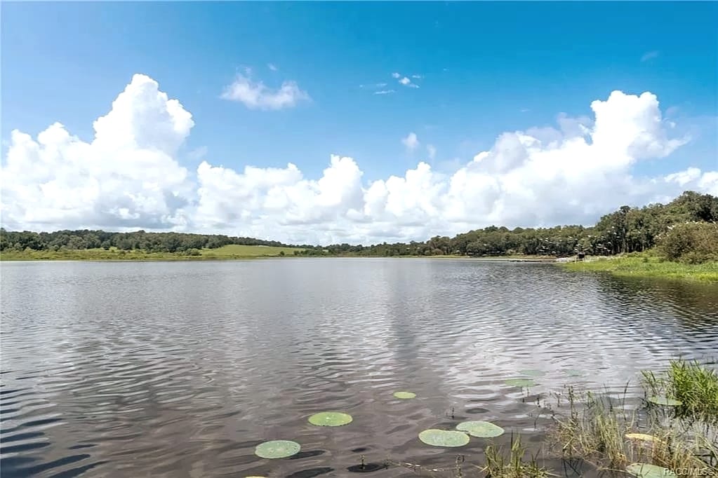 A serene view of Lake Dowling captures still waters reflecting fluffy white clouds and a blue sky. Green lily pads float on the surface, surrounded by lush greenery and trees along the shoreline, enhancing the peaceful ambiance of the estate.