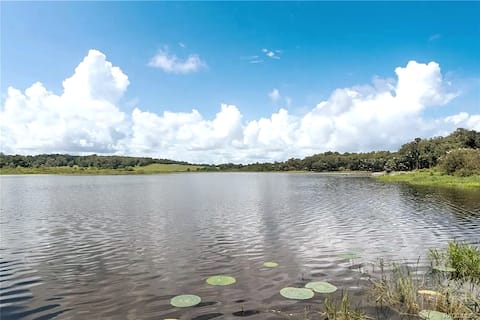 Waters Edge-A Lakefront Oasis of Peace & Privacy