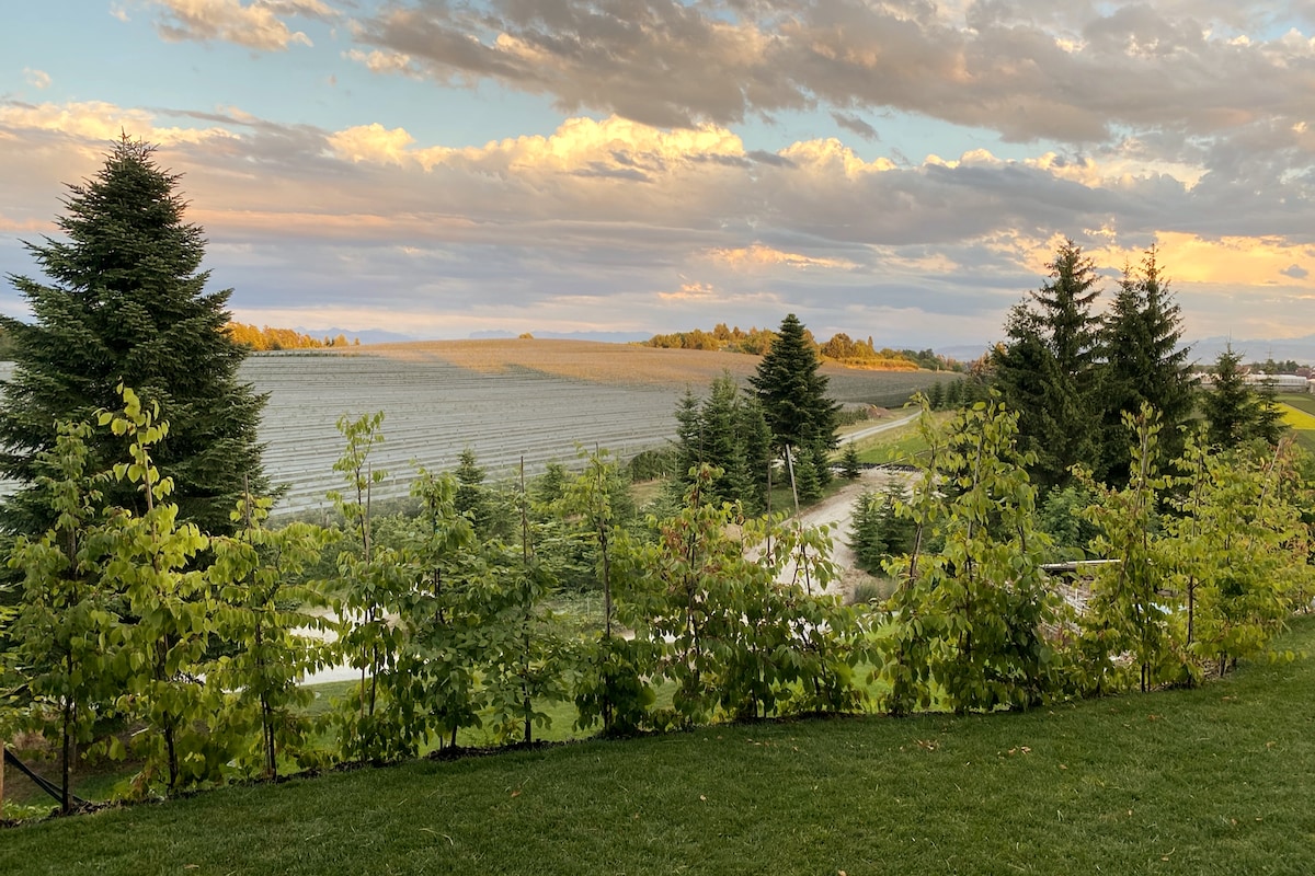 A serene landscape showcases rolling fields and lush greenery. Trees frame the foreground, providing a natural boundary, while the sky is adorned with soft clouds illuminated by warm evening light. The distant horizon features more greenery, enhancing the tranquil atmosphere.