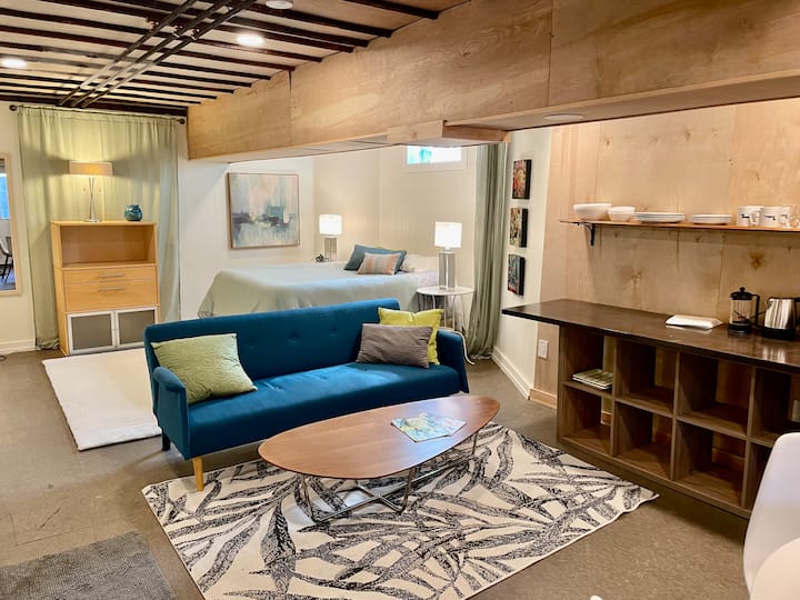 Stylish Basement, Historic Area - 미니애폴리스