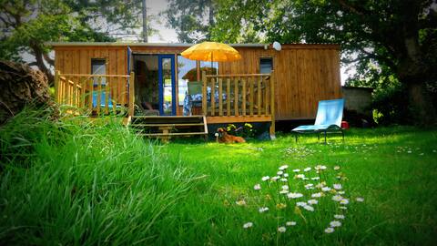 Brocéliande - Hôtié d'Haligan