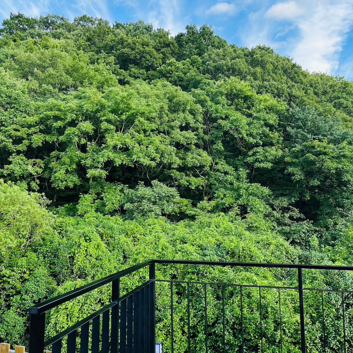 A serene view of dense green foliage rising up a gentle hillside can be seen from the balcony. The lush trees create a vibrant and tranquil atmosphere, with varying shades of green under a blue sky that includes soft, scattered clouds.