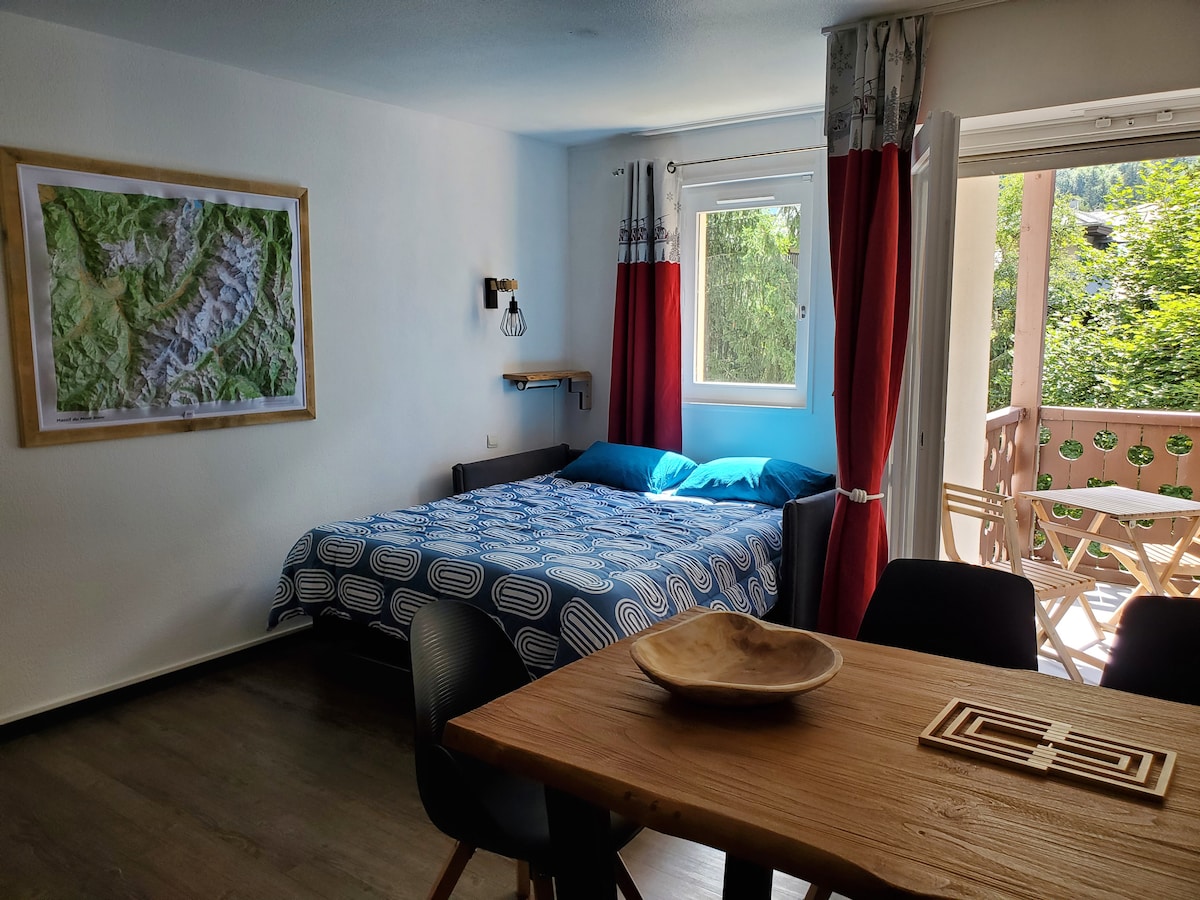 Top Airbnb: Studio, view/Mont Blanc, private underground parking in Chamonix Mont Blanc