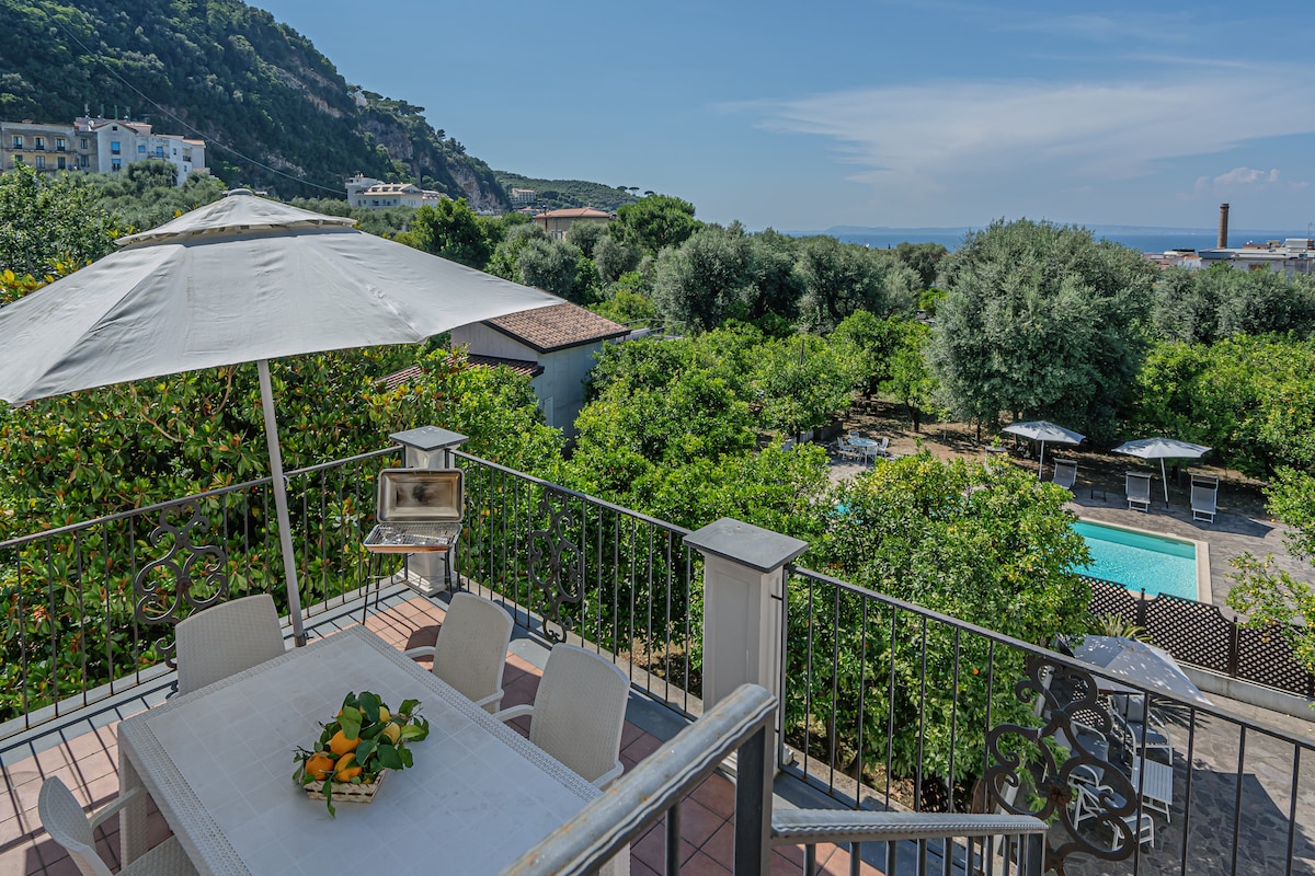 An outdoor terrace is shown, furnished with a dining table and chairs under an umbrella. Lush citrus trees are visible surrounding the pool area, with distant views of the sea and hills in the background under a clear blue sky.