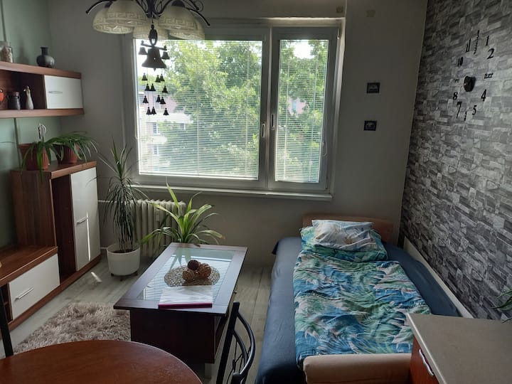 Airy Apartment 2+kk In Hradec Kralove - Hradec Králové