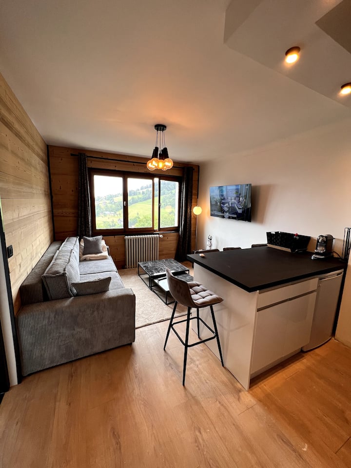 Vue Mont-blanc, Cosy, Ski Et Village - Sallanches