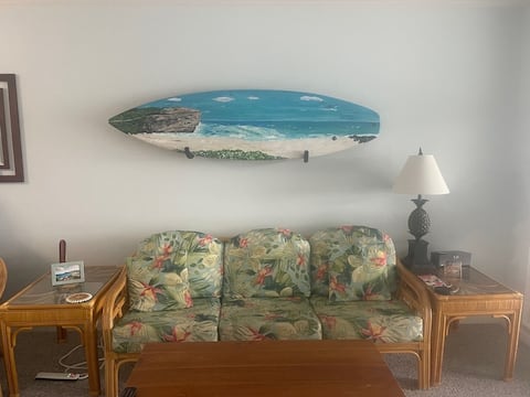 Successful Airbnb property: Oceanfront, Million Dollar View, Fully Renovated in Wailua