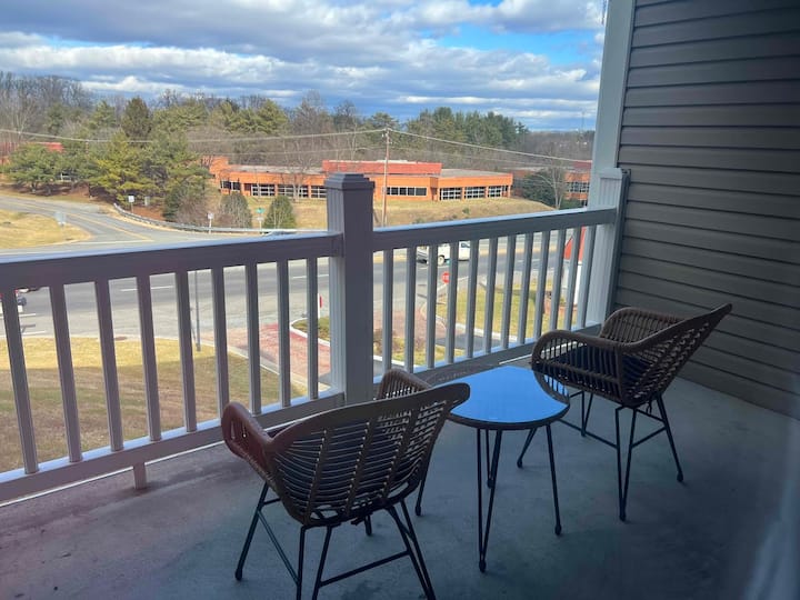 Prestige Condo W/pool & Balcony - Roanoke, VA