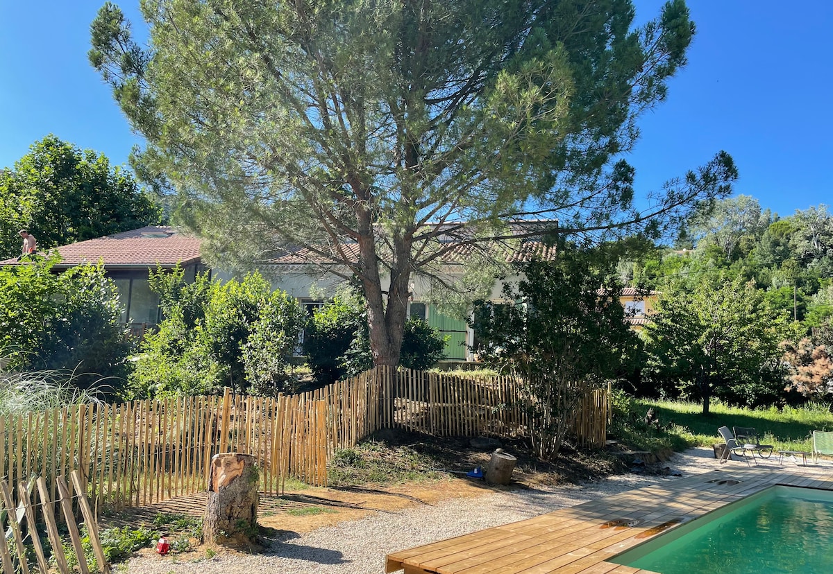 A spacious outdoor area features a clear view of a large tree set in a garden space. The wooden fence encloses the area, with natural landscaping visible throughout. A swimming pool reflects the blue sky, creating a serene environment for relaxation.
