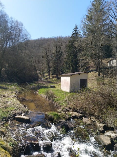 Disconnected cottage in the heart of the Forest no. 4