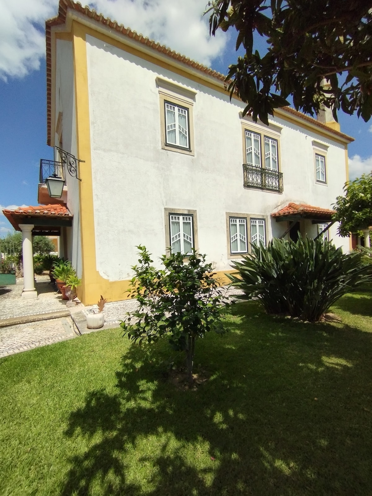 The exterior of the villa showcases a classic architectural style with a yellow and white facade. The building features multiple large windows with decorative frames. A well-maintained garden area surrounds the structure, complemented by a variety of greenery, including shrubs and a small tree.