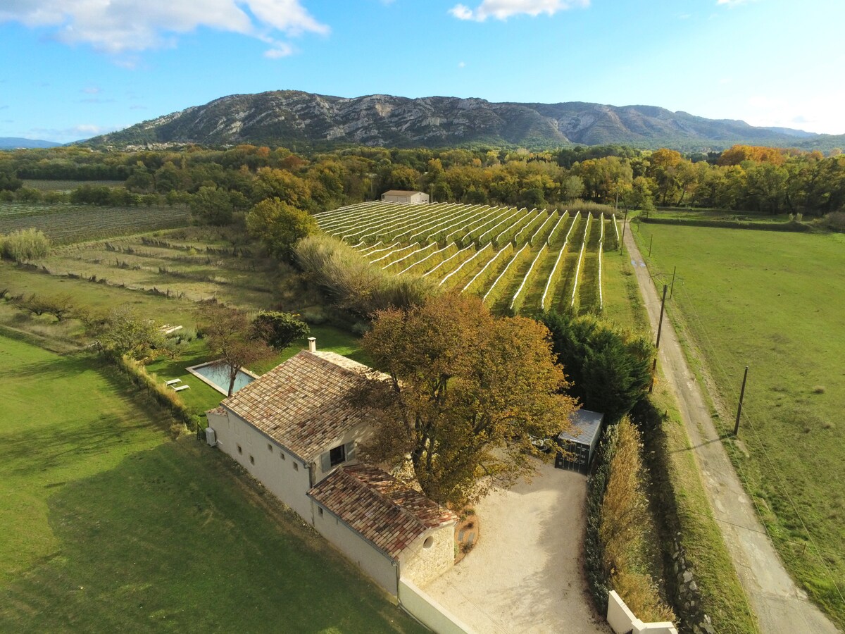 An aerial view presents the house surrounded by lush orchards and vineyards, set against a backdrop of rolling hills. The property features a stone structure with a rustic roof, complemented by well-maintained outdoor space and a long fence bordering the expansive green fields.