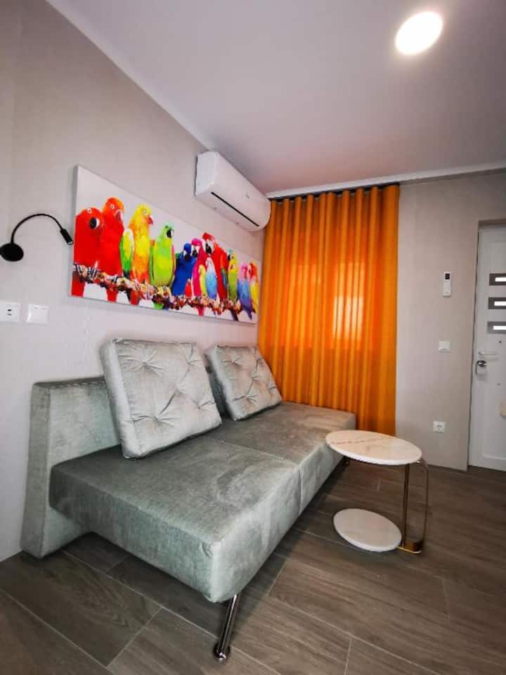 Apartamento Ms - Campo Maior
