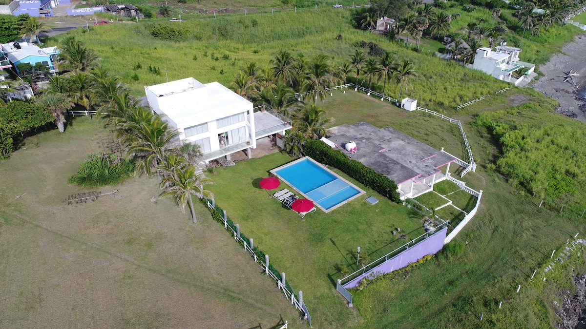 An aerial view of the property reveals a spacious lawn surrounded by palm trees, with a swimming pool situated centrally. The house features a modern design, and the outdoor area is complemented by shaded seating arrangements, providing a serene setting for relaxation.