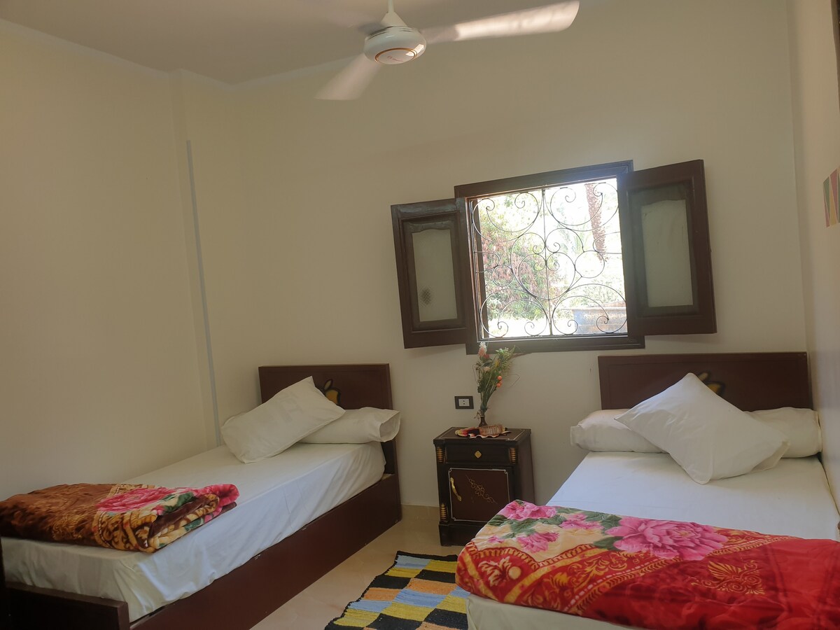 The room features two single beds, each with white linens and decorative blankets. A small bedside table stands beside one bed. The window offers natural light, framed by double shutters, and a colorful rug covers part of the floor.