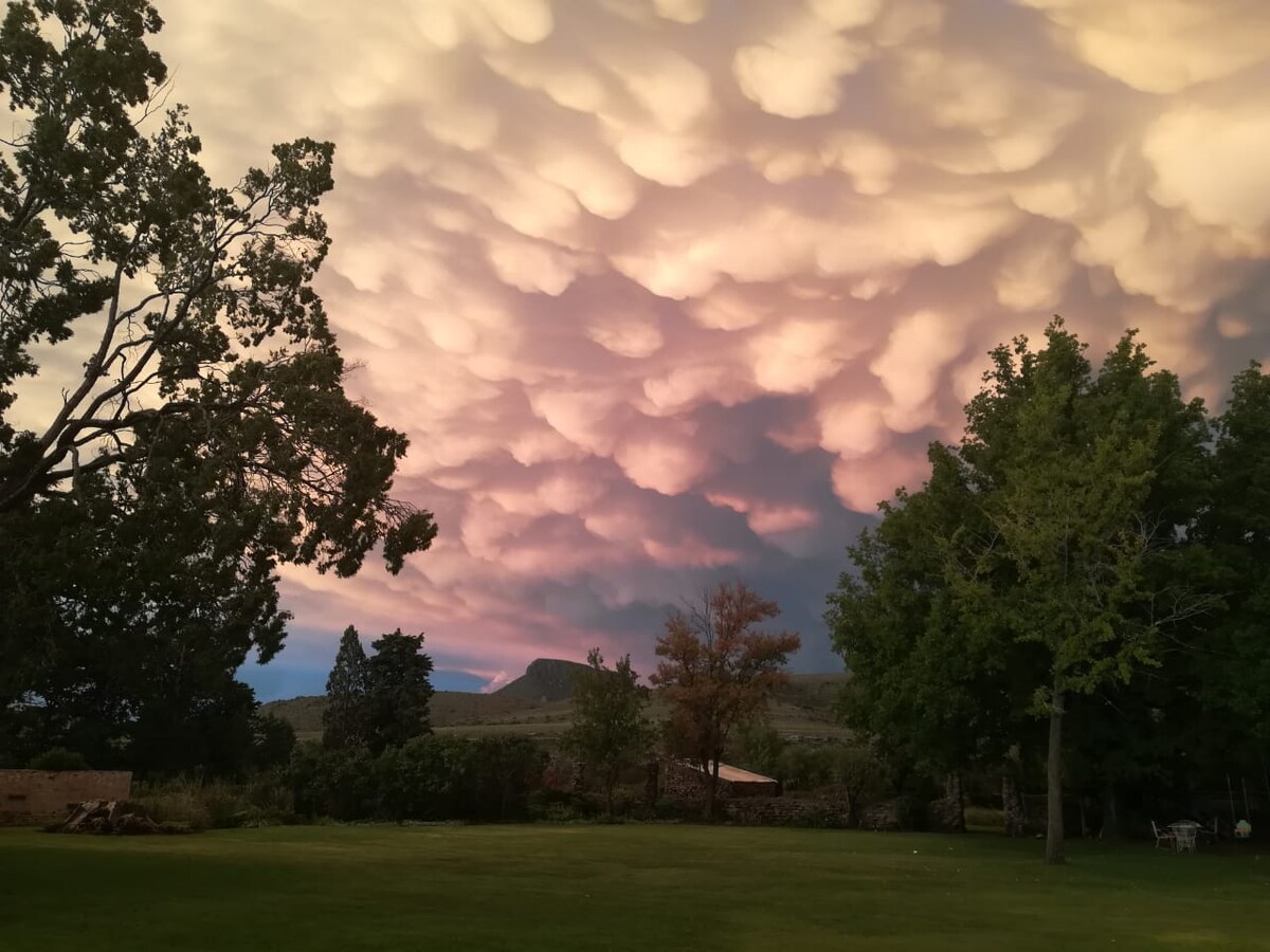 A serene outdoor view features a vast green lawn beneath a sky filled with textured clouds displaying soft hues of pink and peach. Silhouetted trees frame the scene, adding depth to the landscape, while distant hills provide a subtle backdrop.