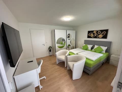 Central flat in Oerlikon