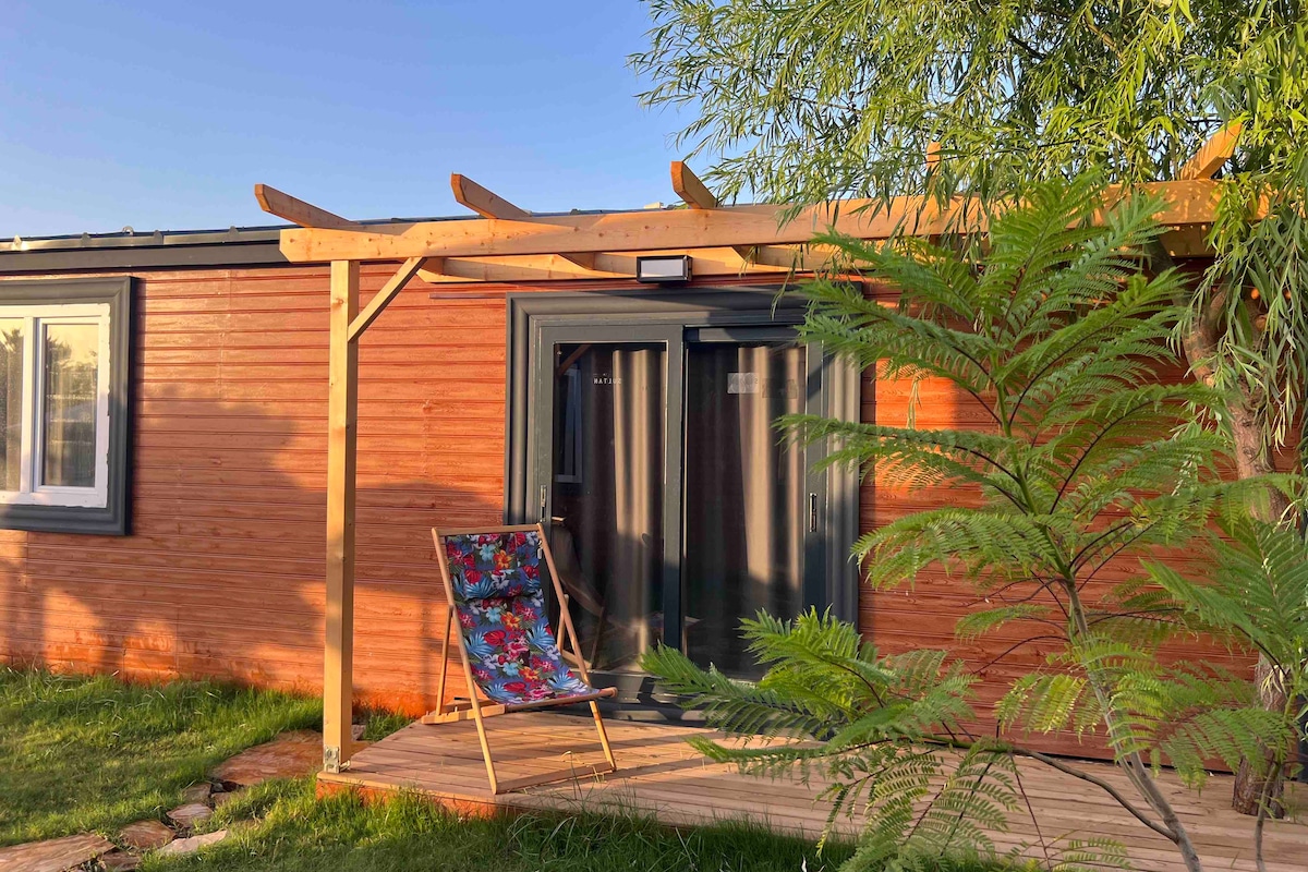 A wooden exterior of a studio is highlighted, featuring a covered porch supported by wooden beams. A colorful chair is positioned on the porch, inviting relaxation. Lush greenery surrounds the entrance, creating a natural and serene setting.