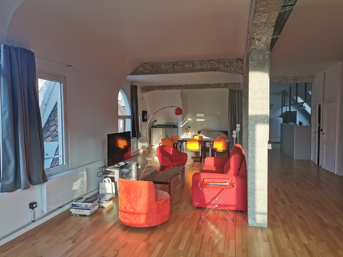 Successful Airbnb property: Beautiful Loft direct access to train station/city center. in Tribunal Gare Porte De Schirmeck