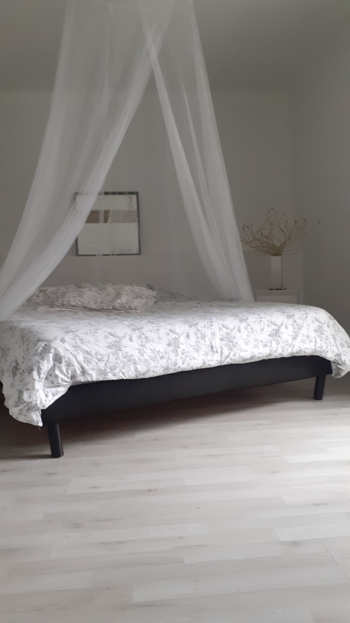 A bright bedroom features a spacious bed draped with a light canopy. A patterned duvet covers the bed, contrasting with the pale wooden floor. A minimalist design is echoed in the wall art and a small table beside the bed.