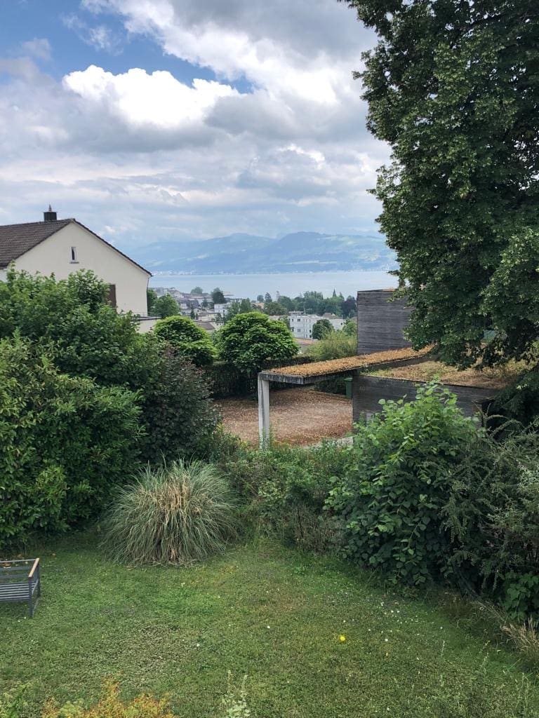 A serene garden area is presented, featuring lush greenery and a variety of plants. A clear view of the distant mountains and sky adds depth. The outdoor space includes a shaded patio area, providing a peaceful environment for relaxation.