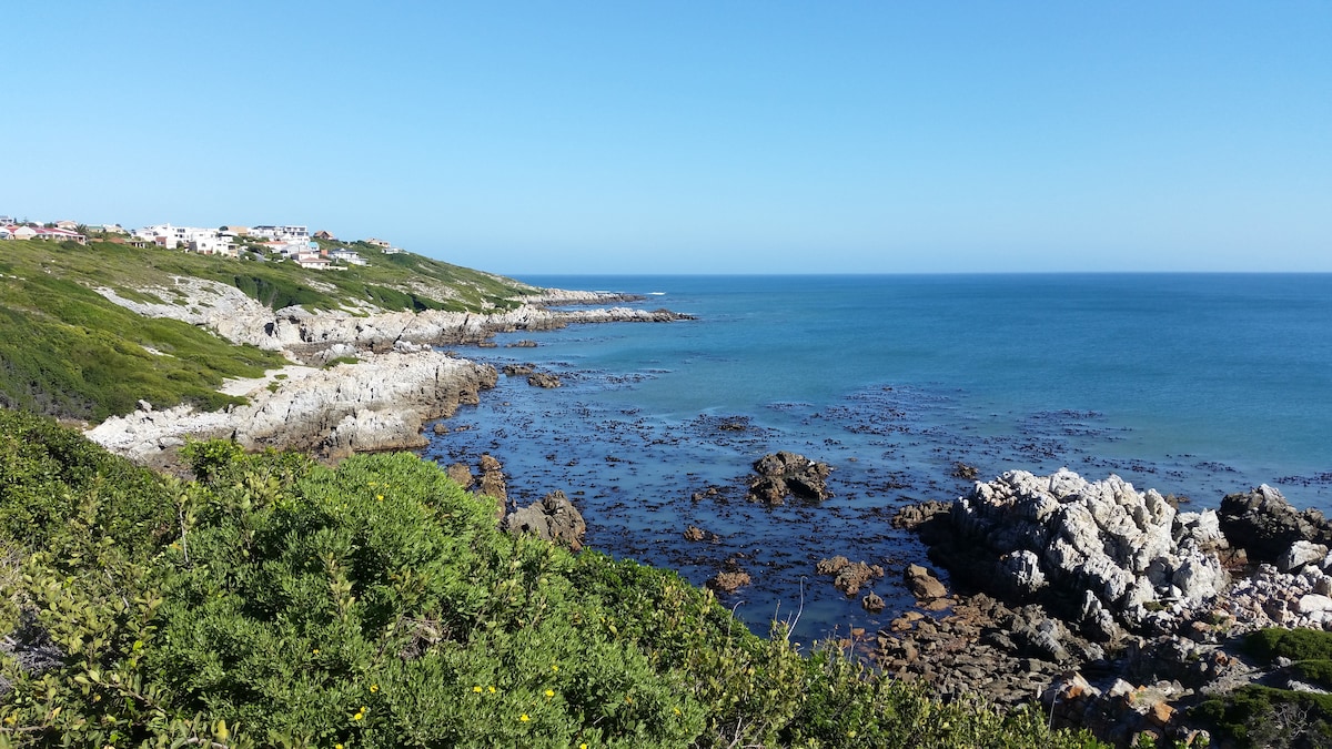 A coastal scene captures the rocky shoreline meeting the vast ocean under a clear blue sky. Seaweed-covered rocks create natural textures along the water's edge, while greenery from nearby vegetation frames the view, highlighting the beauty of the environment.