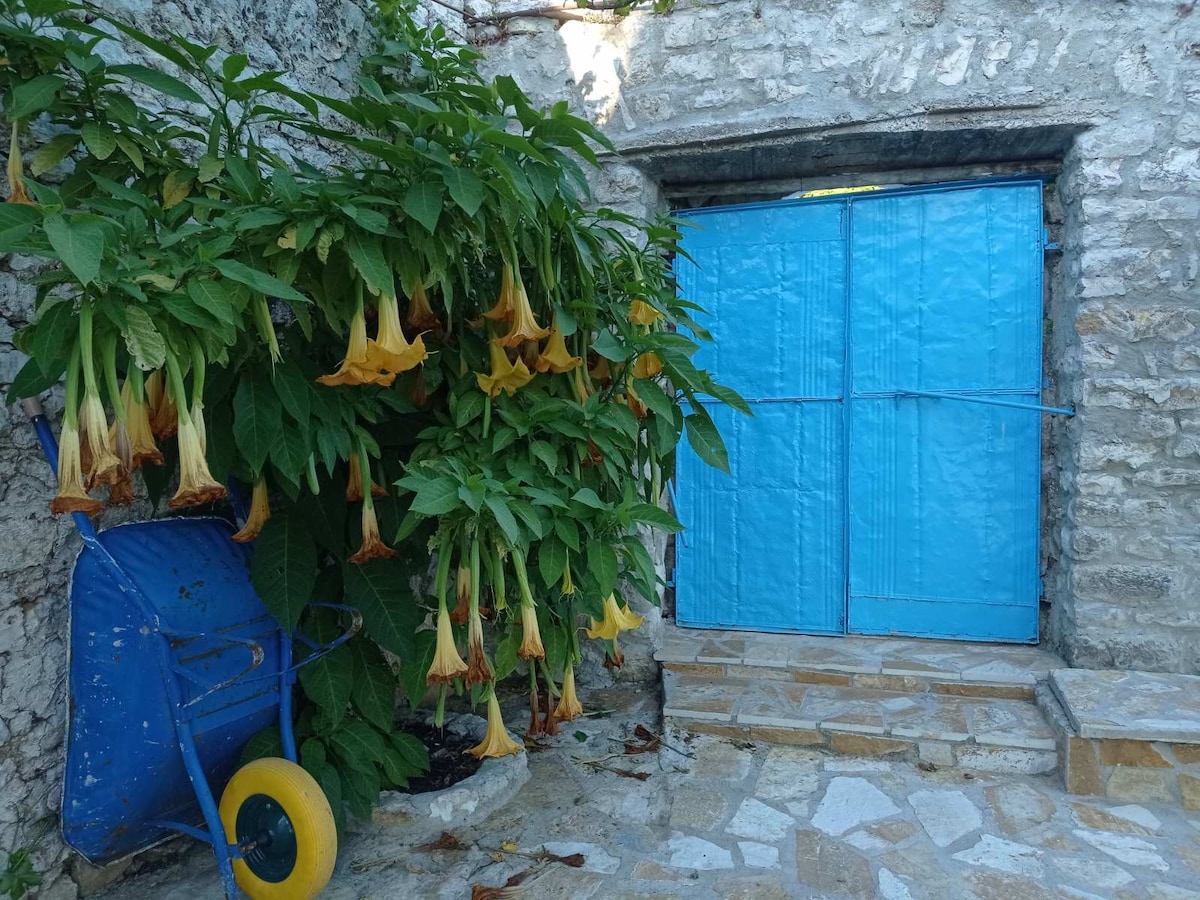 A vibrant display of flowering plants features large trumpet-shaped blossoms beside a blue gate surrounded by stone walls. A blue wheelbarrow is positioned nearby on a stone pathway, enhancing the rustic charm of the entrance.