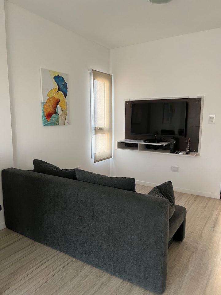 One Bedroom Downtown Apartment