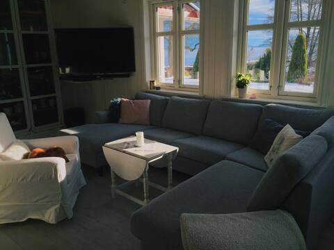 Top performing Airbnb: Unique cabin right on the beach! in Holmestrand