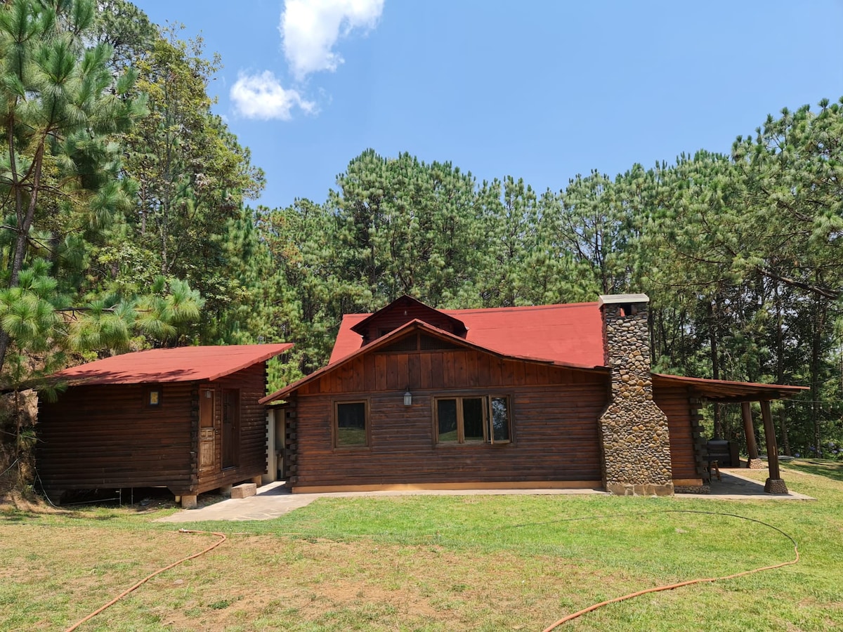 A charming Canadian-style chalet is surrounded by lush forest, featuring a rustic exterior with wood paneling and a striking red roof. Large windows allow for natural light and views of the landscape, while a stone fireplace offers a cozy focal point.