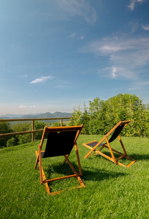 Luxury house, private garden, and panoramic views