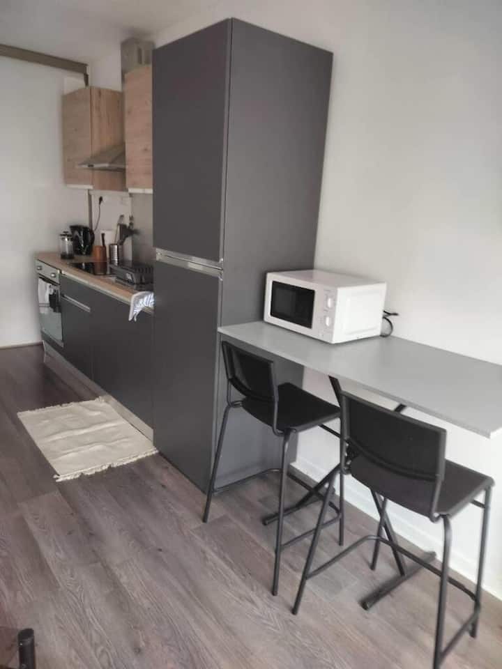 Charmant_studio_centre_ville_proche_du_lac - Soustons
