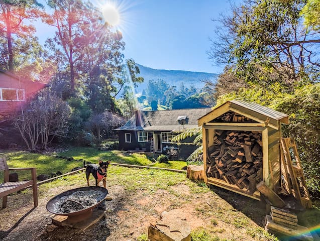 Welcome on Wellington