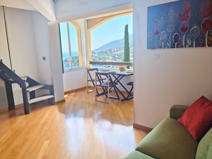 Vue Exceptionnelle Mer Et Estérel - Cannes