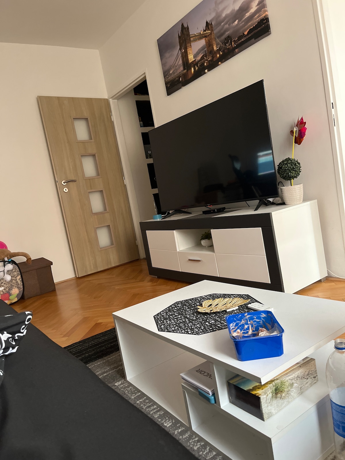A modern living area features a large television on a white and black media unit. A minimalist coffee table is adorned with decorative items, while a plant adds a touch of greenery. The light wood door with panels provides a subtle backdrop.