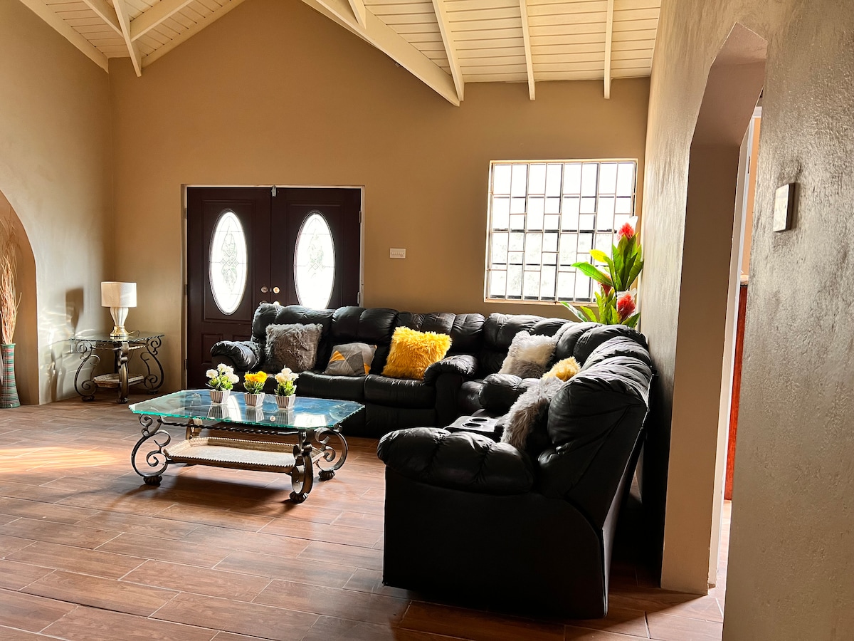 A spacious living room features plush black seating arranged around a glass coffee table. Light streams in from a large window, illuminating tropical plants at the side. The high ceiling adds openness, while decorative accents create a welcoming environment.
