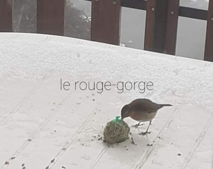 Appart. Au 1er D'une Villa. - Rumilly