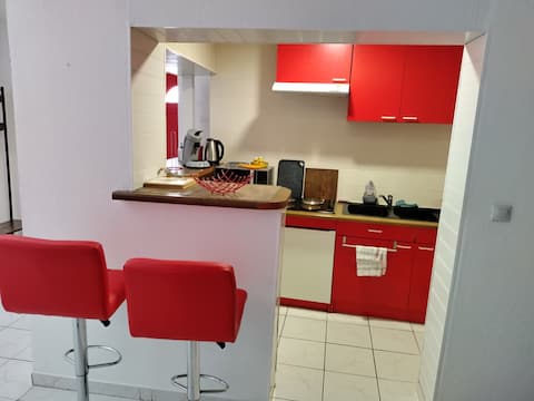 Spacious cozy studio with garage