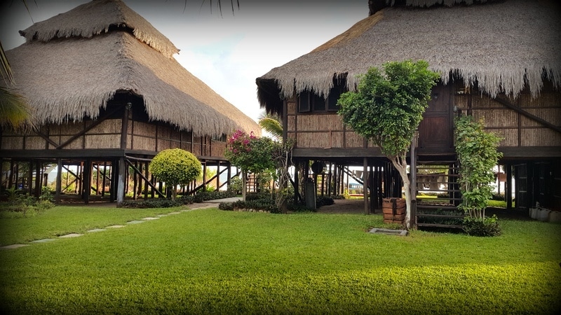 Two self-catering villas with thatched roofs are situated in a lush green garden. The elevated structures are supported by wooden pillars and are surrounded by well-maintained grass, and a pathway leads between them. Tropical plants and a colorful flower bush add natural beauty to the setting.
