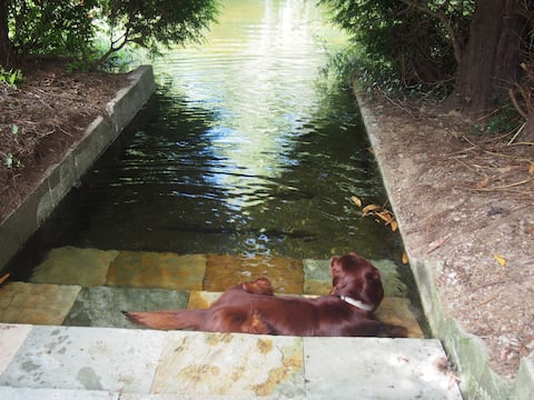 Casa de Graña, on the banks of the Sor River.