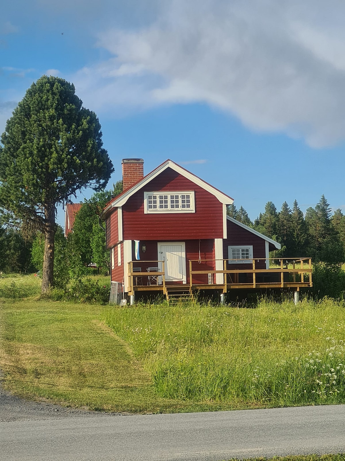 A red wooden house is positioned on a grassy area, elevated on stilts with a front porch. A tall evergreen tree stands beside the house, surrounded by a lush field. The background features a dense collection of trees and a hint of clear sky.