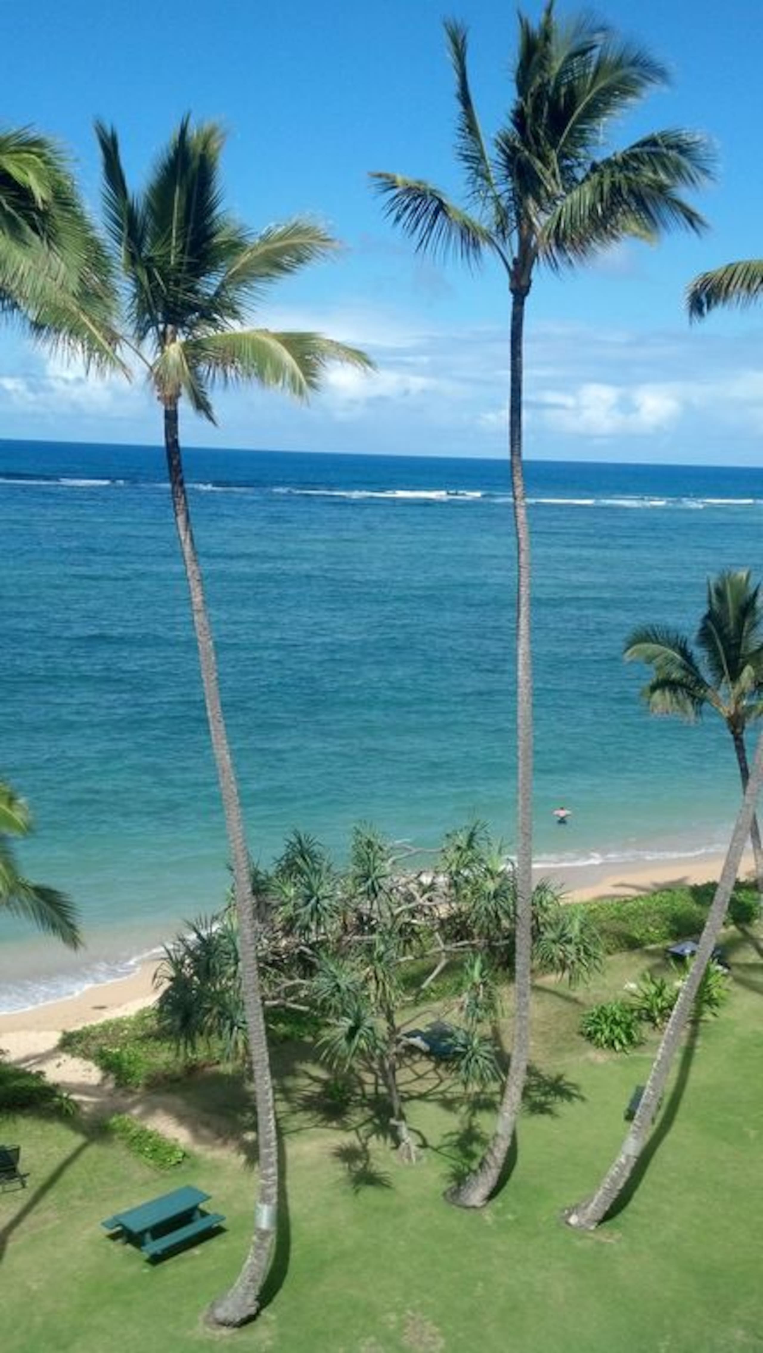 Condo in Hauula · ★4.88 · 1 bedroom · 3 beds · 1 private bath - Image 47